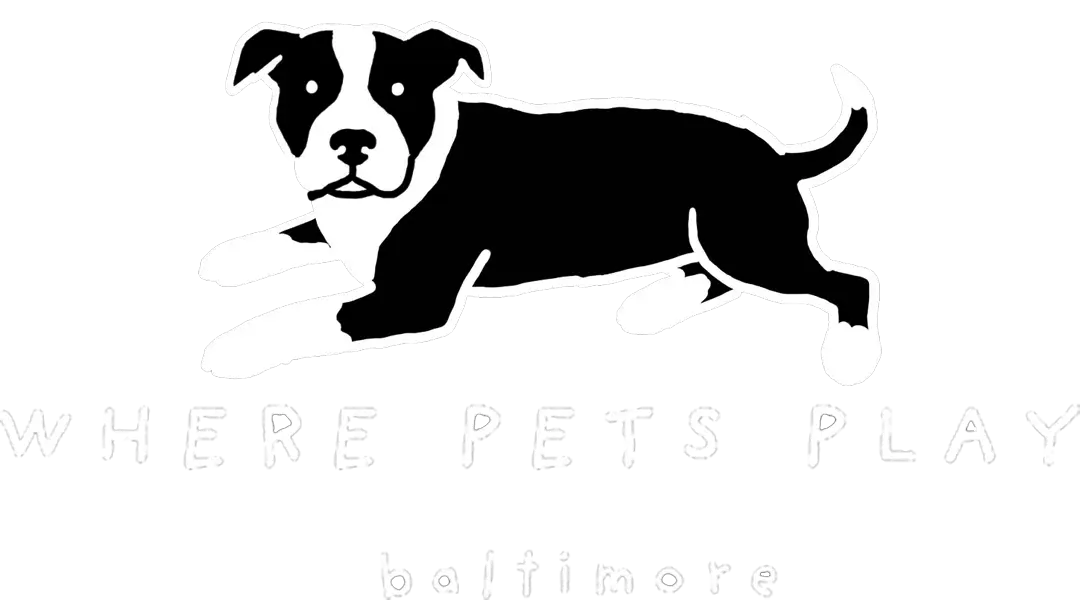 Where Pets Play